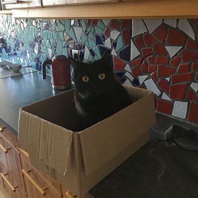 Nubia