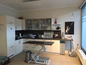Behnadlungsraum der Tierarztpraxis Rannersdorf/Schwechat